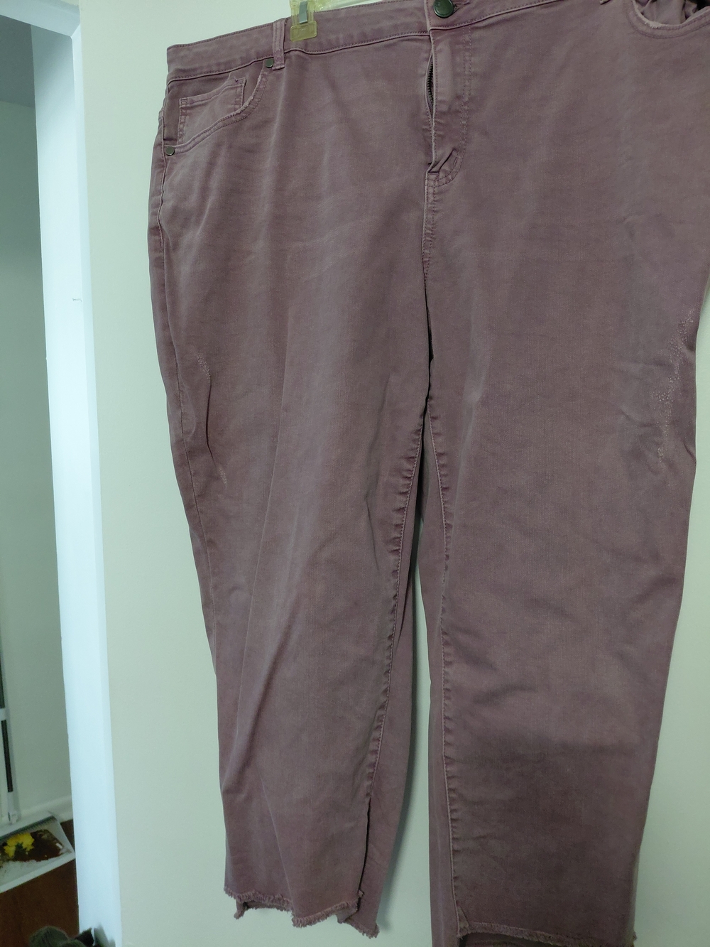 Lane Bryant Dusty Mauve Pants